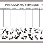 Магнітний планер А3 Розклад на тиждень 4 Коти укр