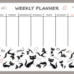 Магнітний планер А3 Розклад на тиждень 5 Коти eng