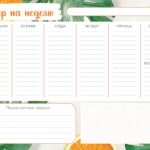 Магнитный планер А3 "Расписание на неделю №9 Апельсин_ру"